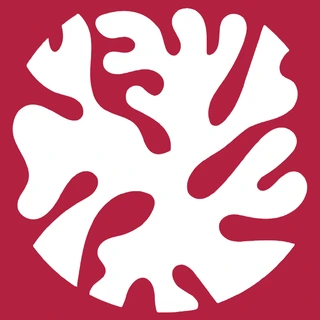 Coral Strategy